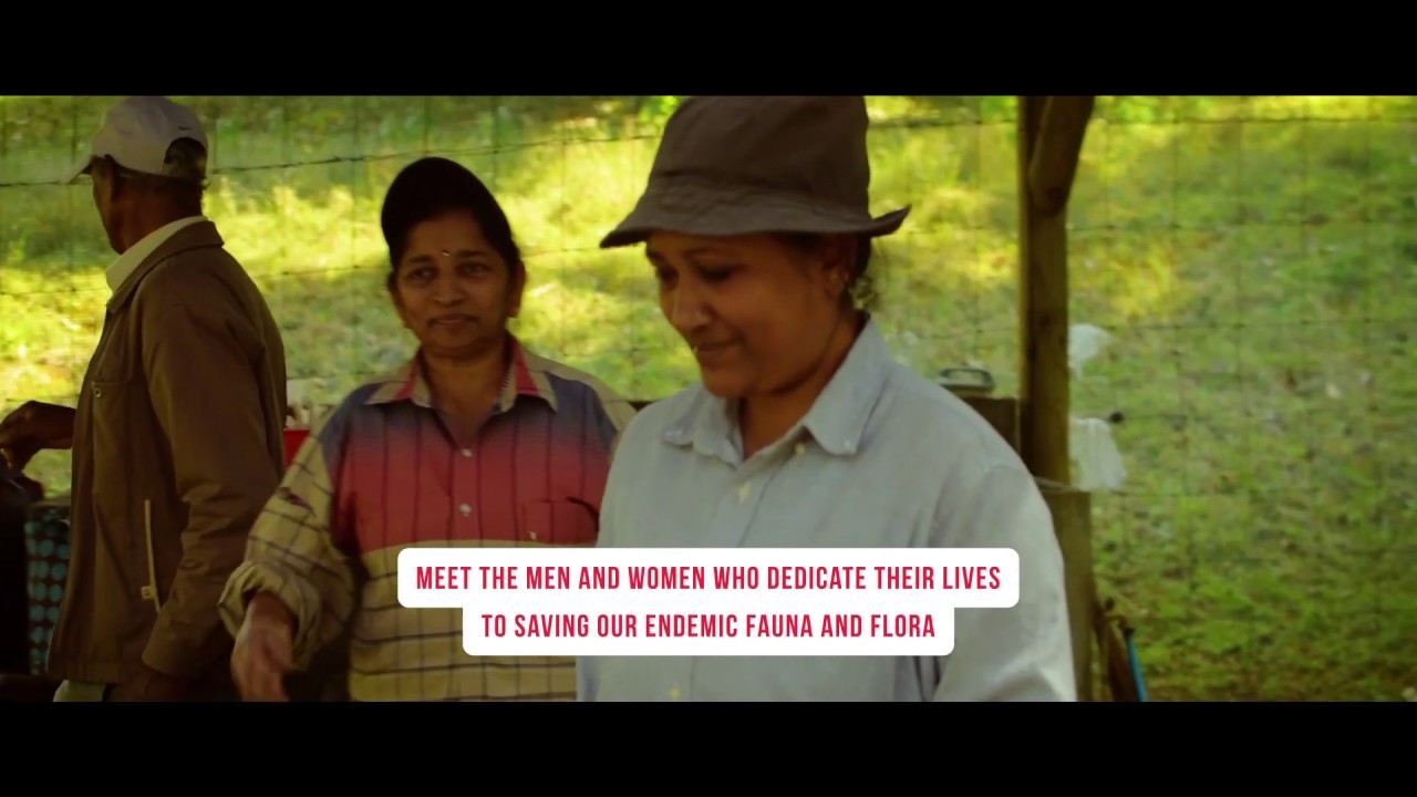 Your guided tour of La Vallée de Ferney | Bank One