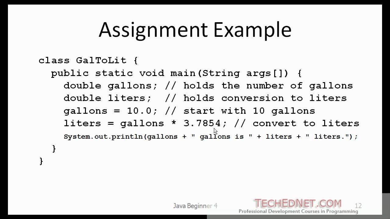 Java Beginner 4 - Variables, Data Types, Assignment