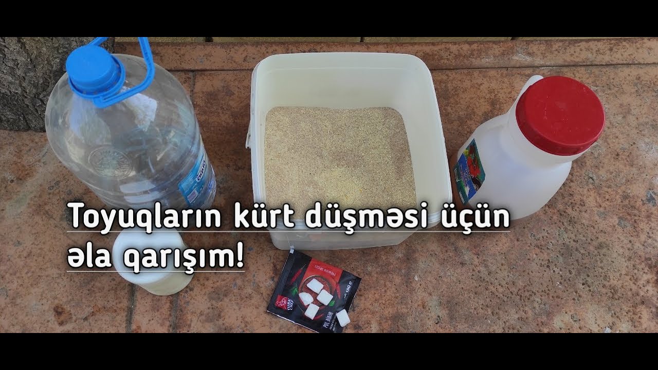 Toyuqların kürt düşməsi üçün super qarışım!