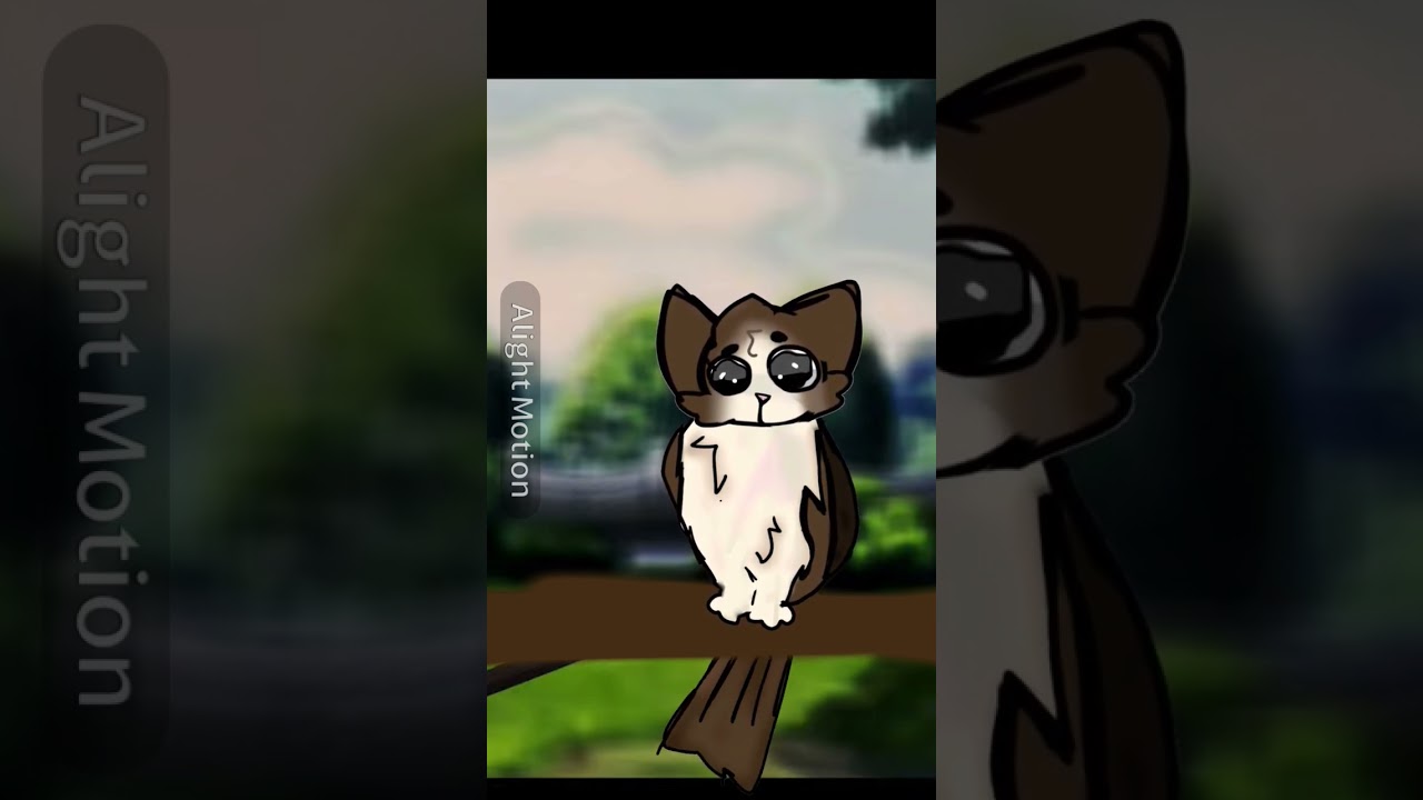 #alighitmotion