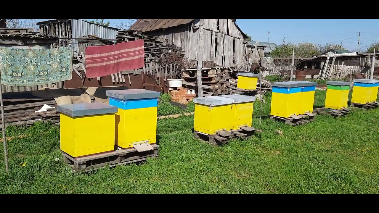 Ставлю перші магазини!