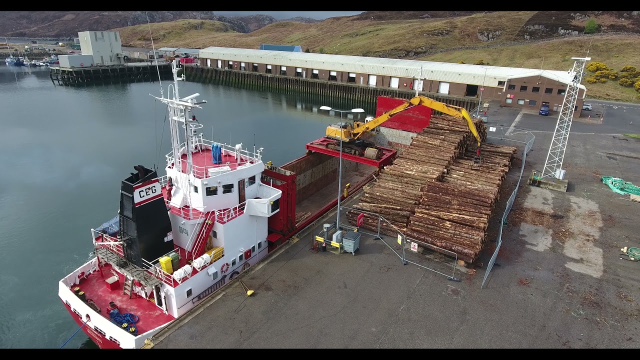 Cargo ship loading logs