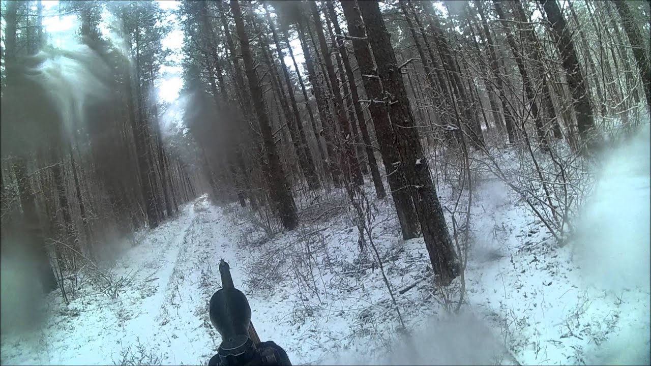 Metssea jaht (wild boar hunting in Estonia)