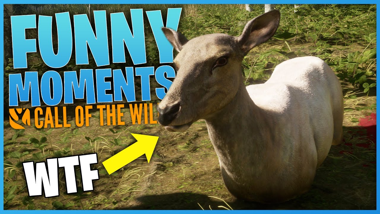 Смешные моменты! #1 | theHunter: Call Of The Wild