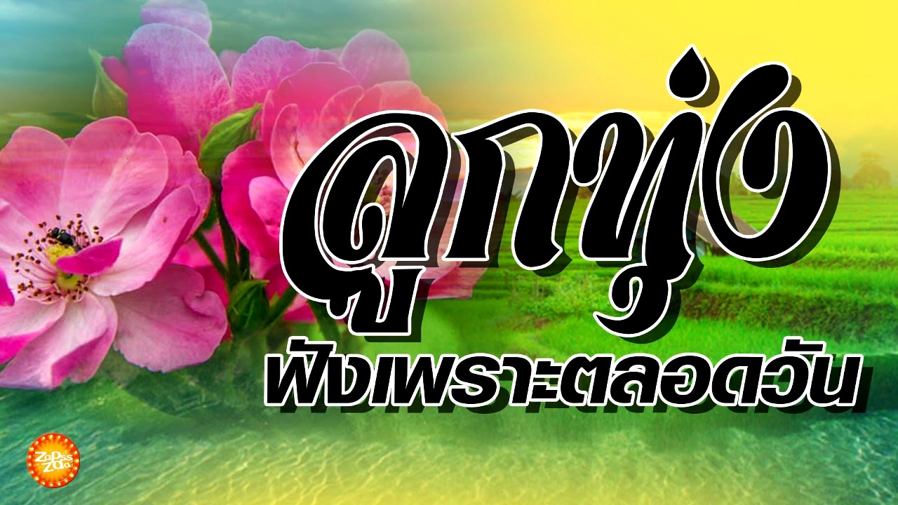 เพลงลูกทุ่งฟังเพราะตลอดวัน เพลงดี24ชั่วโมง