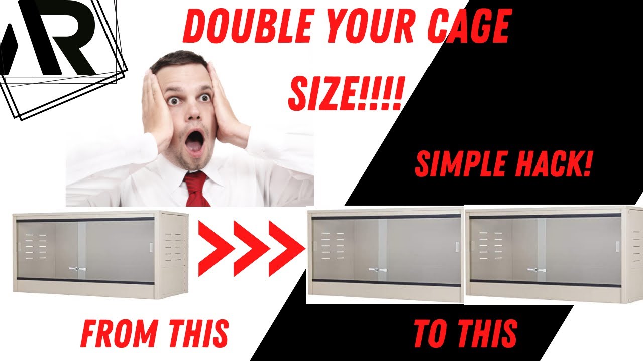 Reptile Cages from 4ft to 8ft!!!!!