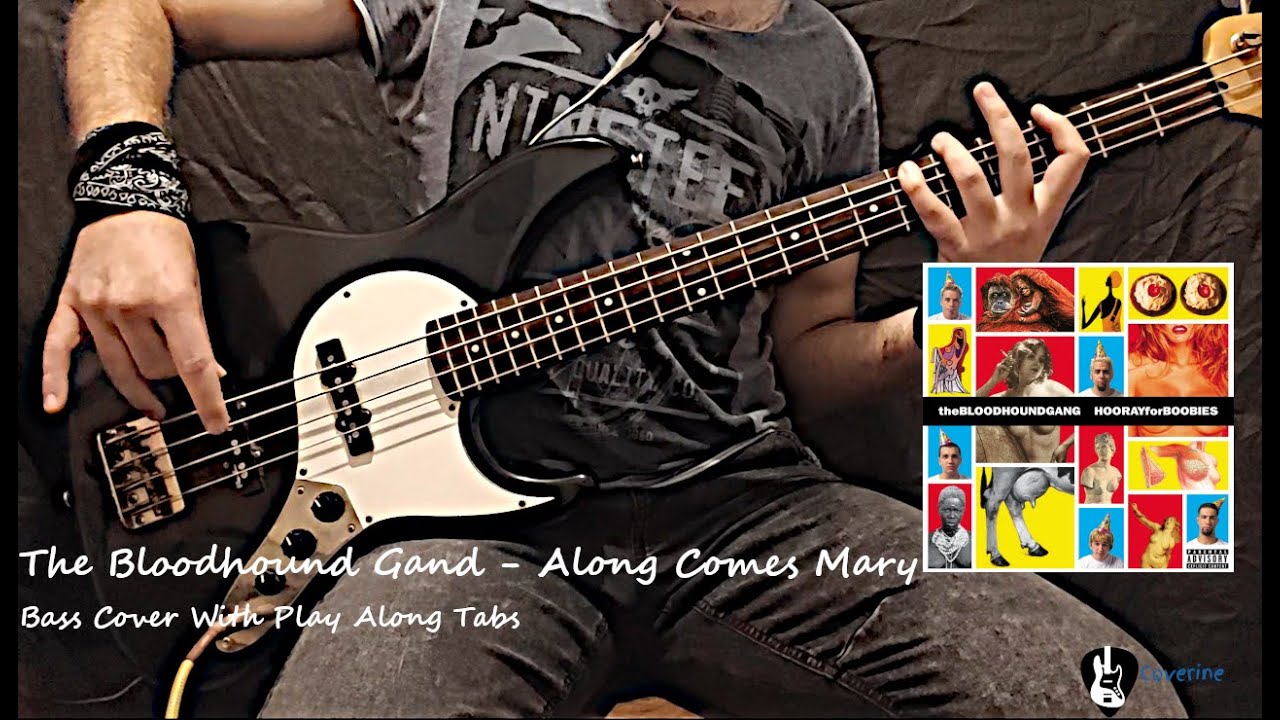 Bloodhound Gang - Along Comes Mary Bass Cover (Tabs)