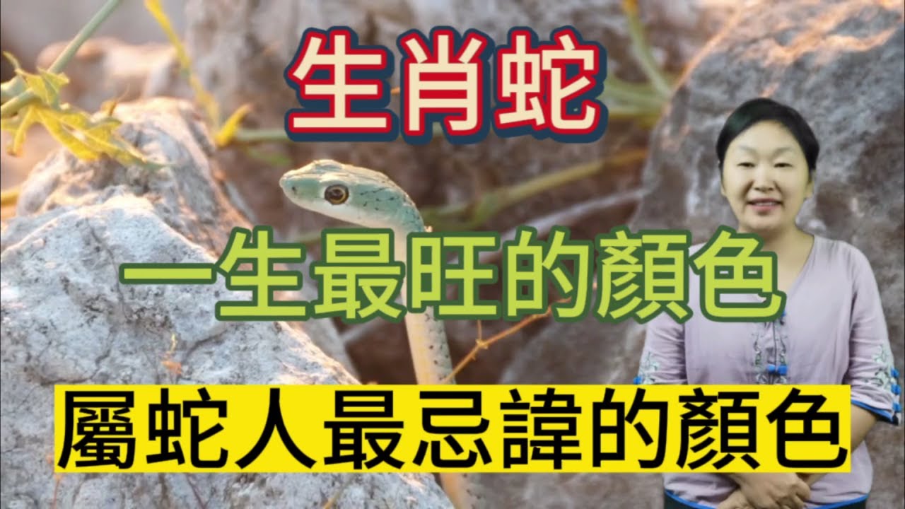 生肖蛇！一生最旺的顏色！屬蛇人最忌諱的顏色！用對顏色能招財旺運！好運連連！大發橫財！大吉大利！