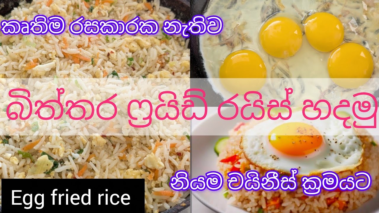 බිත්තර ෆ්‍රයිඩ් රයිස් හදමු home made egg fried rice 🍛😊