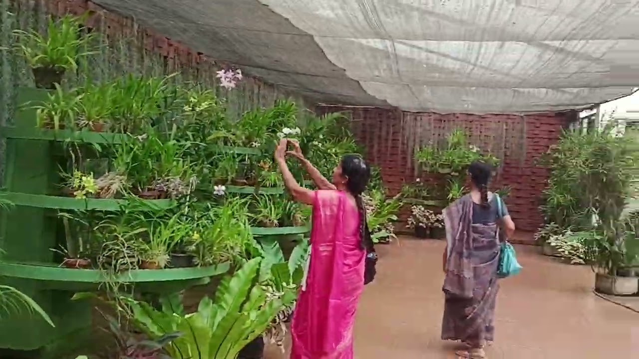 புயலுக்கு முன் இலங்கை தாவரவியல் பூங்கா/ Peradeniya botanic gardens/Sri lanka