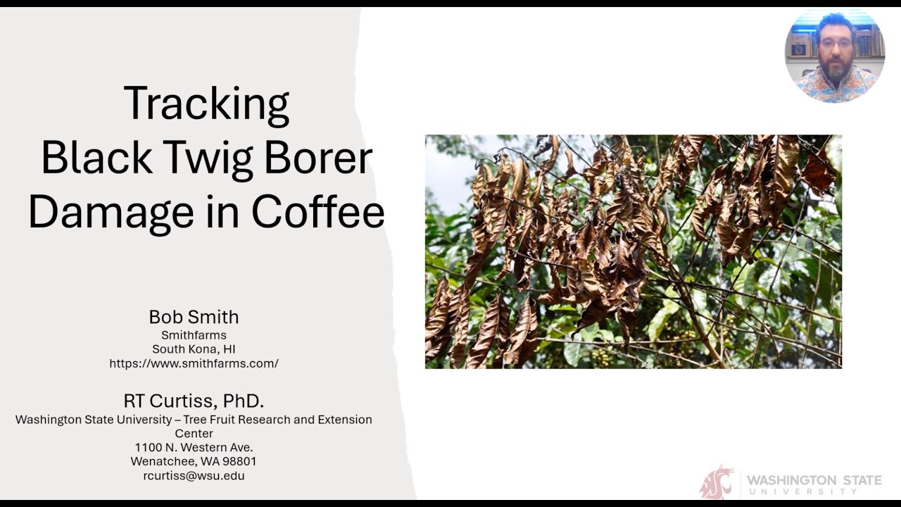 Tracking Black Twig Borer Damage with Rob Curtiss & Bob Smith