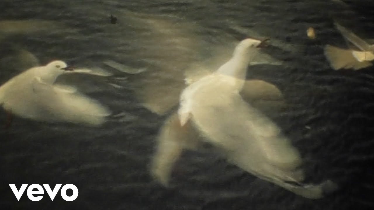 Sea Power - Folly (Official Video)