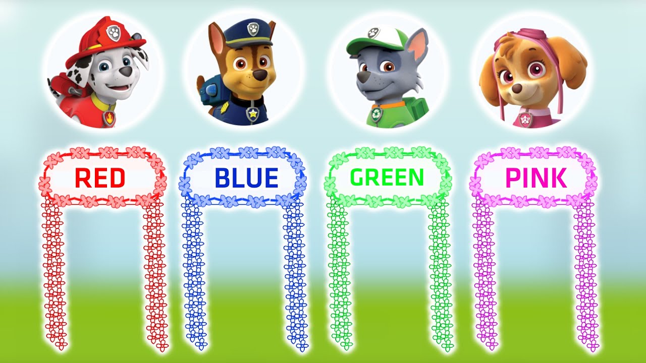 Choose the Right Color of the Gate? Marshall, Skye, Chase, Rocky | Funny PAW Patrol Cartoon