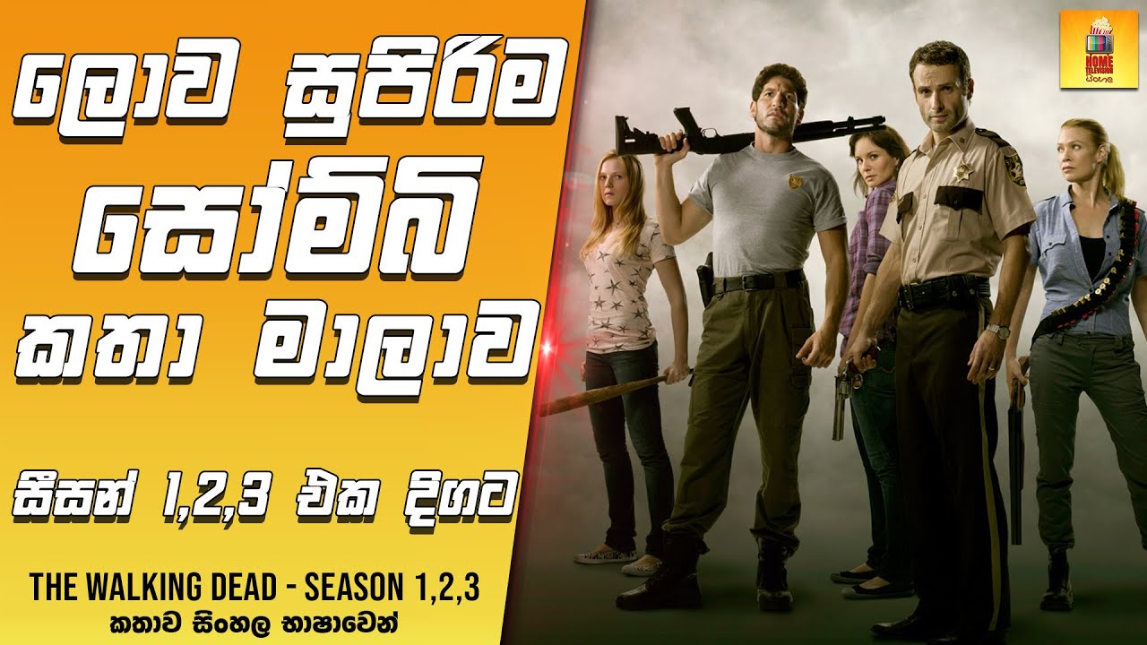 ලොව සුපිරිම සෝම්බි කතා මාලාව සීසන් 1,2,3 එක දිගට | ද වෝකින් ඩෙඩ් S1,2,3 - TV Series Sinhala Review
