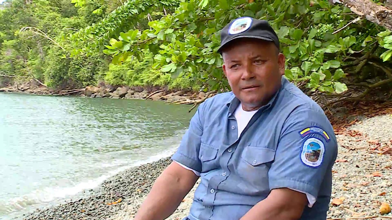 Isla Gorgona, La flora y fauna