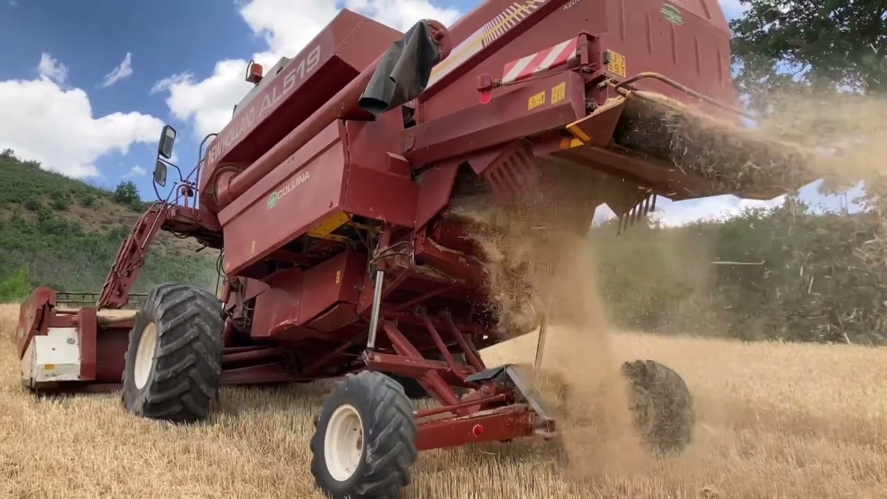 Mietitura 2022 - New Holland AL519