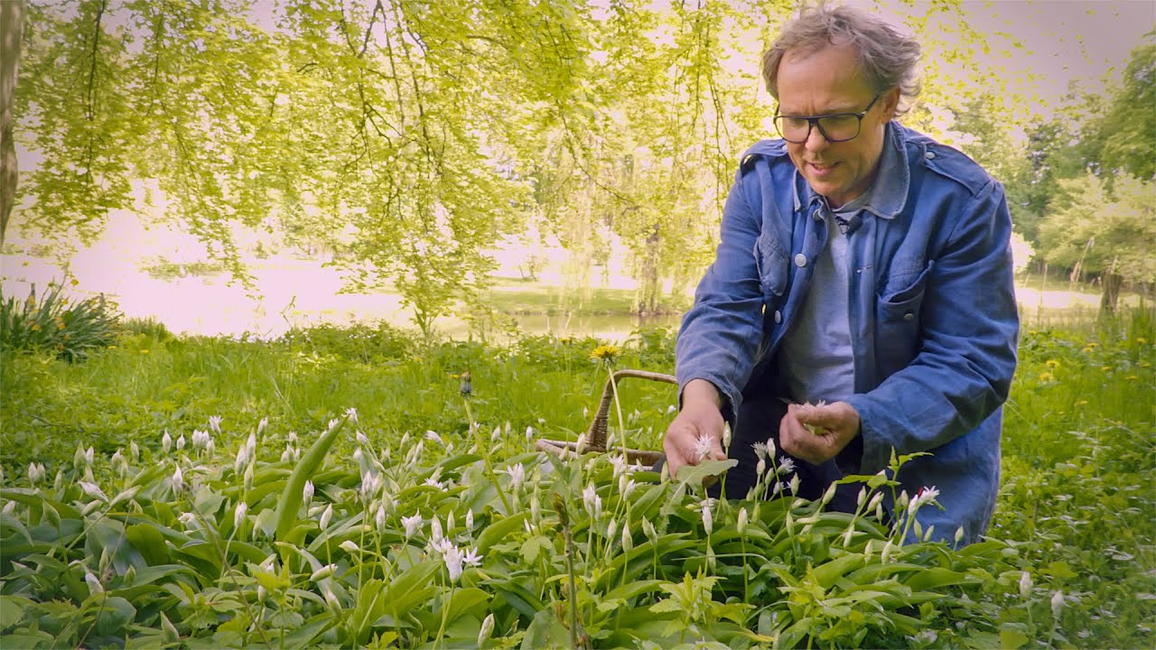 Tag med Søren Ejlersen på sanketur i skoven