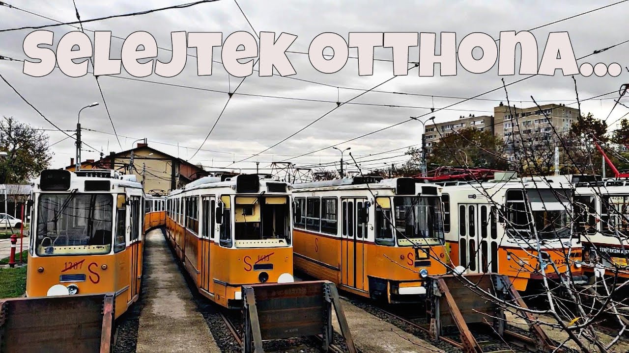 Selejt villamosok és a mögöttük lévő 