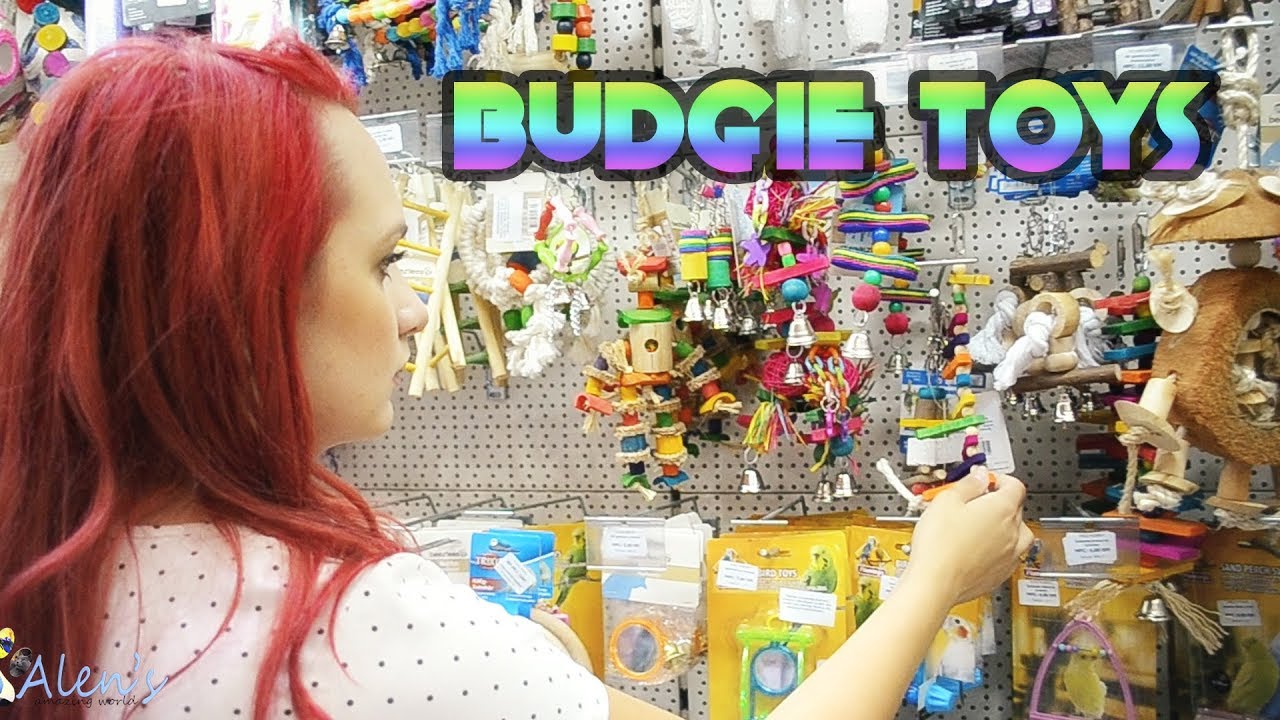 Budgie: Playing it Safe with Bird Toys