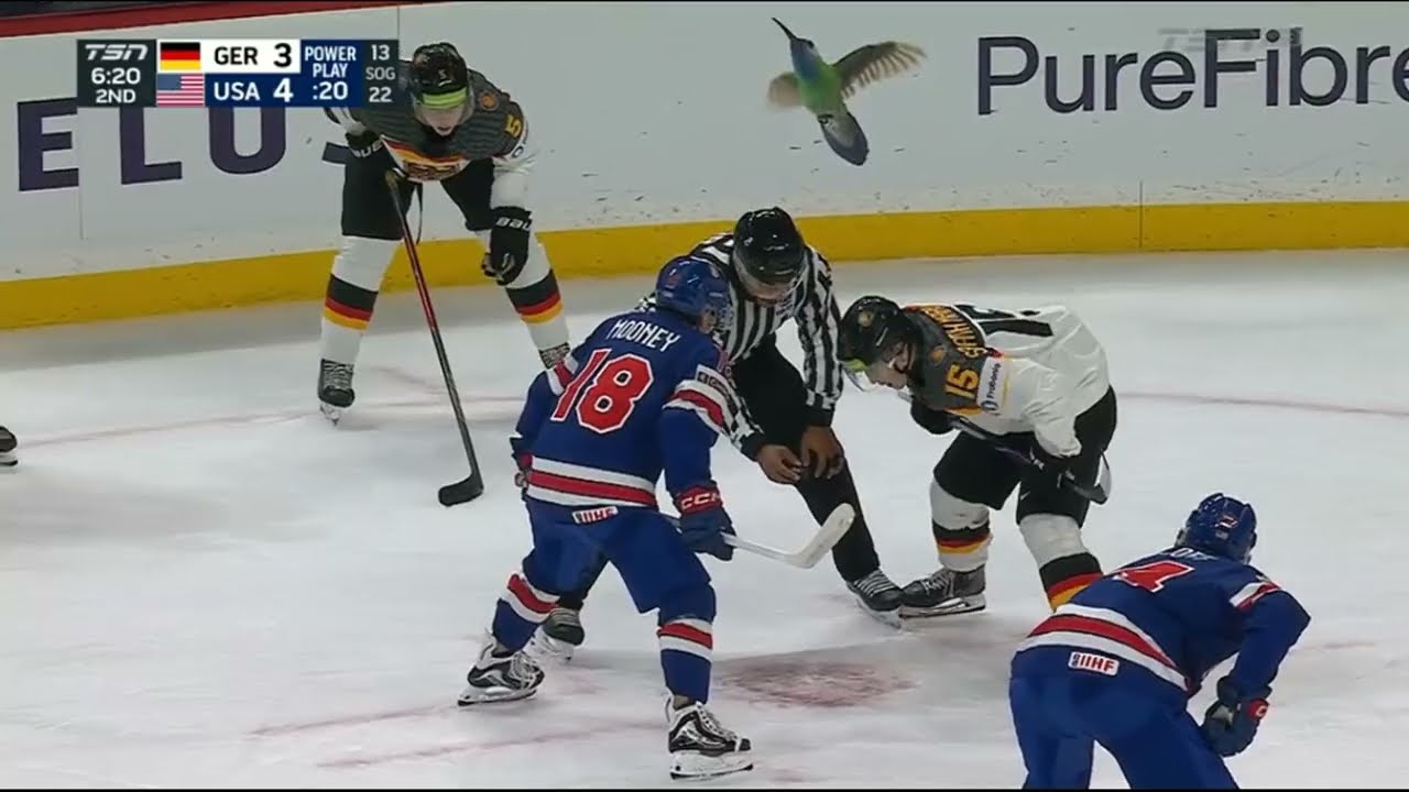 LJ Mooney Solid Game in WJC Debut vs Carlos H&auml;ndel (1A) - Highlights 12-26-25