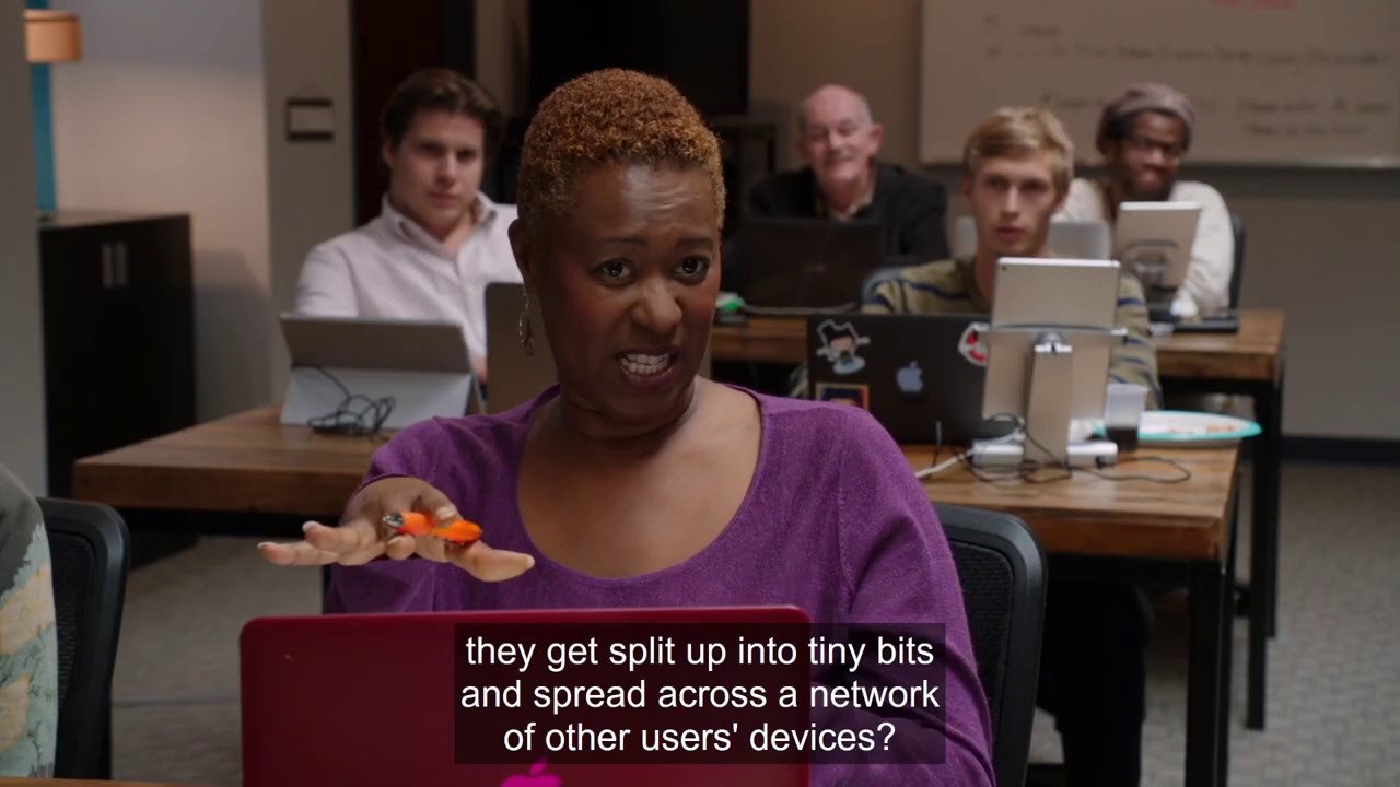 Silicon Valley | Pied Piper Users Finally Get It