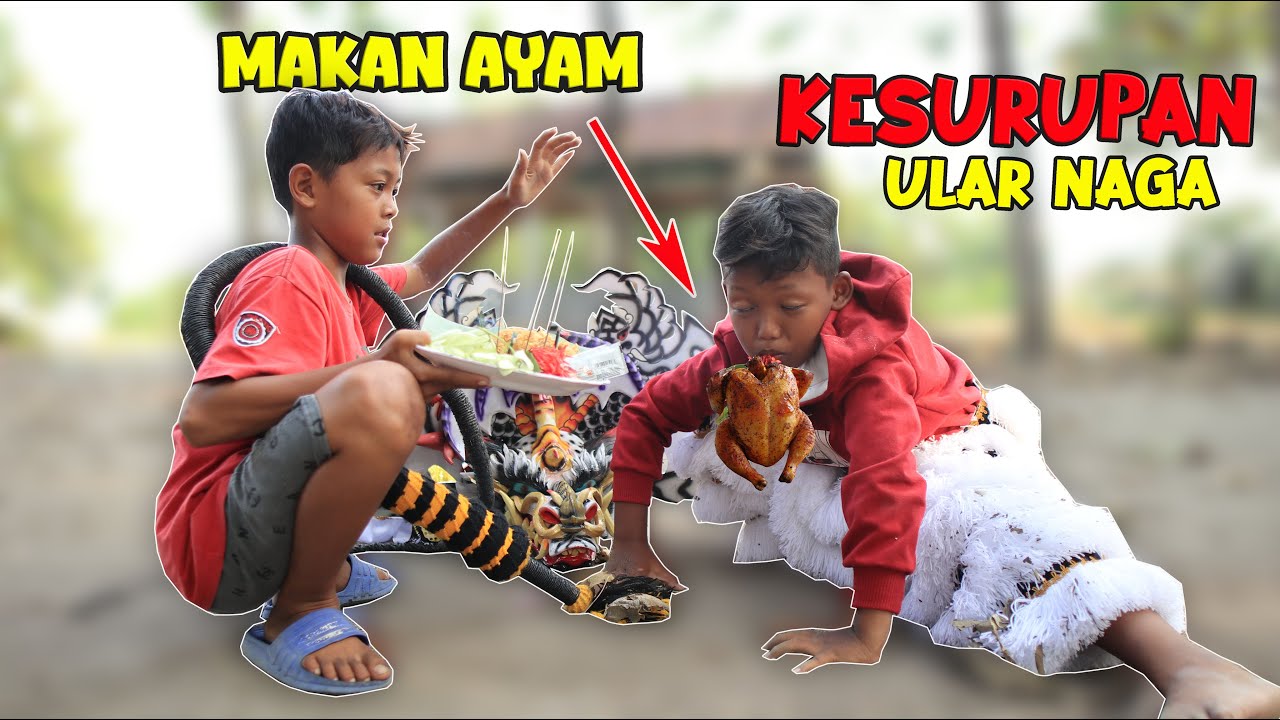PENGISIAN KHODAM BARONGAN BARU | PASHA KESURUPAN ULAR NAGA MAKAN AYAM | Nadin And Friend