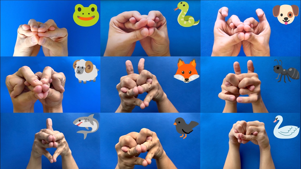 Make 10 Animal Puppets with your Hands! Compilation (Part 1)