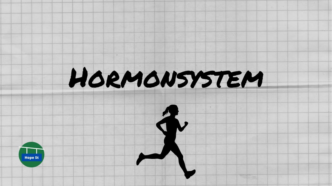 Hormonsystem Basics | endokrines System | einfach erklärt!