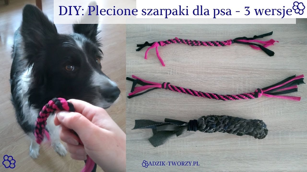 Jak zrobić szarpak dla psa DIY? Plecione szarpaki ze sznurków w 3 odsłonach!