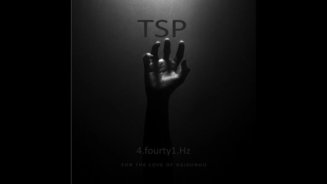TSP-The President