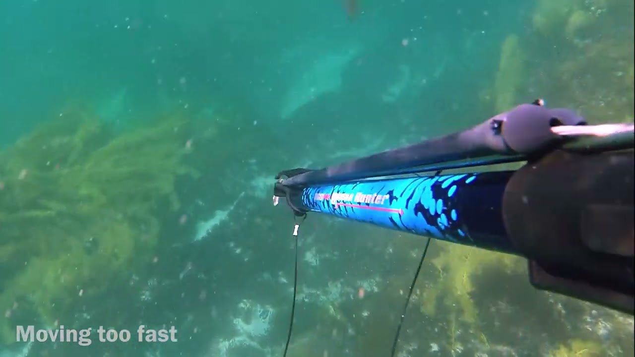Spear fishing Kangaroo Island