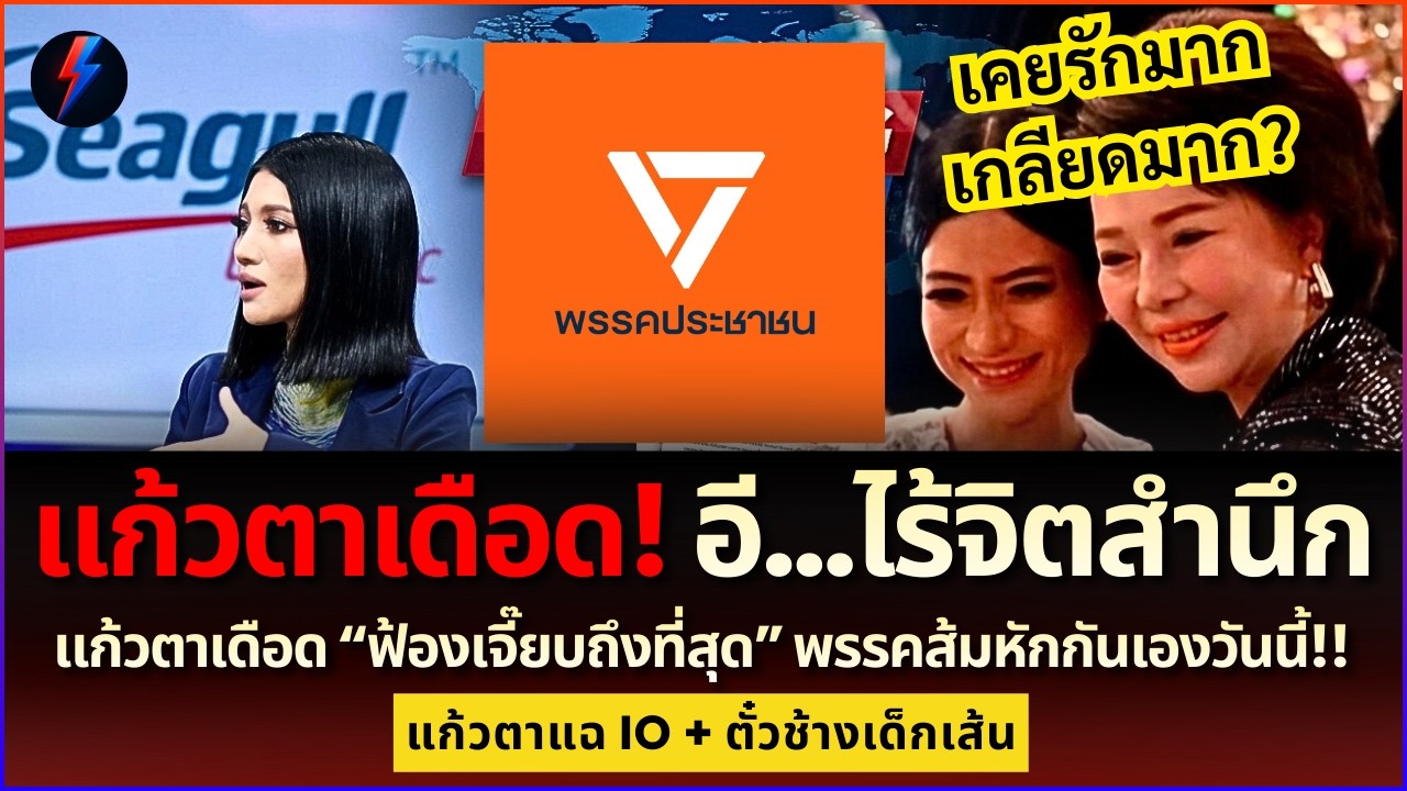 ด่าเจ็บ! แก้วตาฟาด 'อีแก่' เจี๊ยบ ปมยาลากไส้ IO พรรคส้มแตก