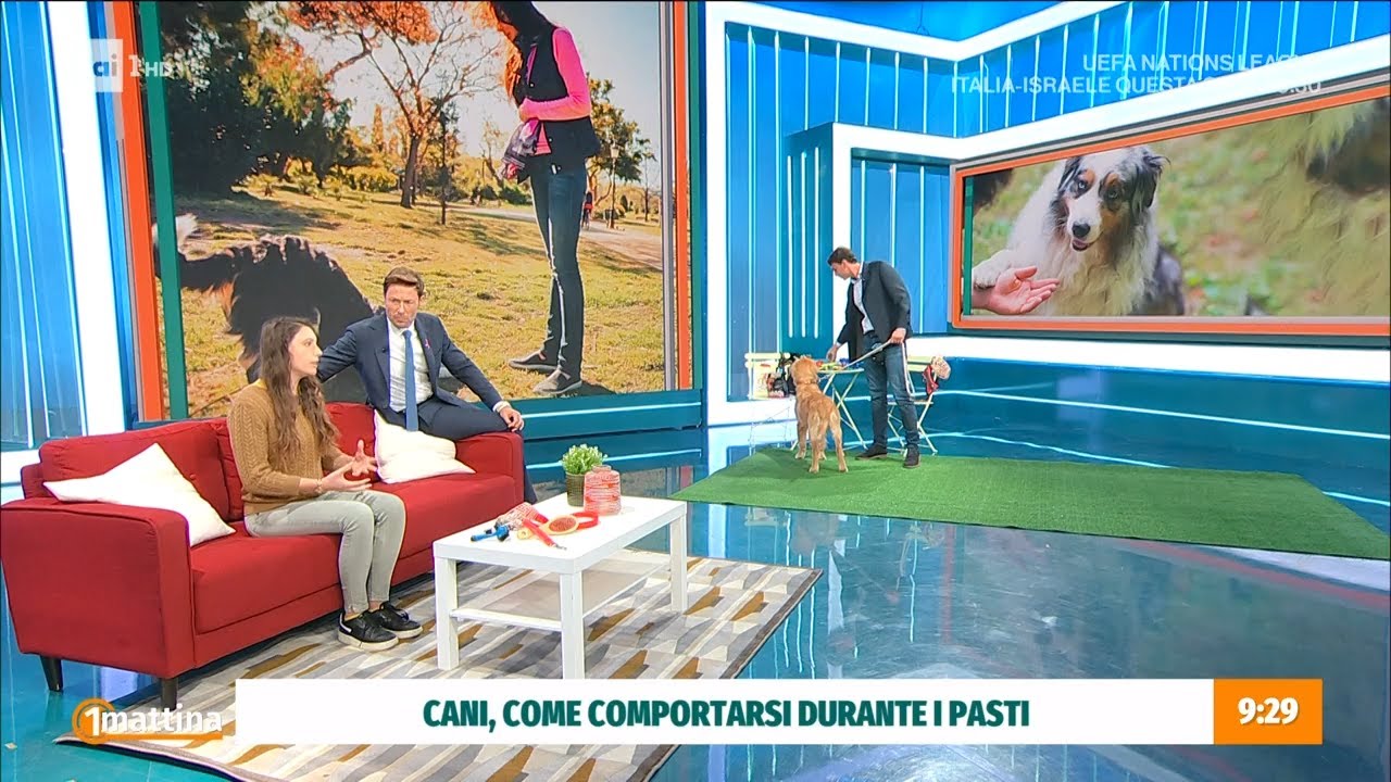 Addestramento cani - Unomattina 14/10/2024