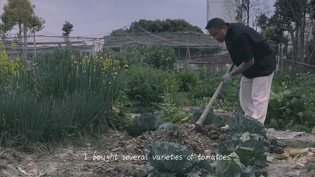 Making Room for Summer: Planting Tomatoes & Peppers 🍅