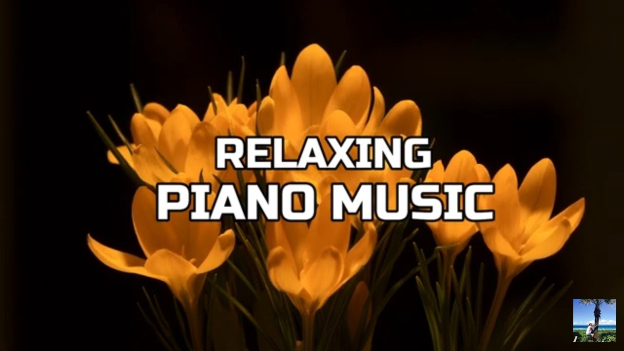 RELAXING AND CALMING PIANO MUSIC AND BEAUTIFUL FLOWER VIDEO