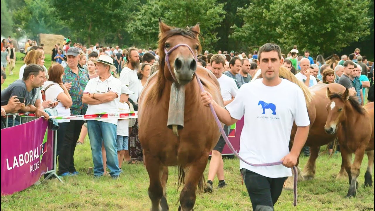 Nekazari eguna 2024 Lekunberri Irailak 1