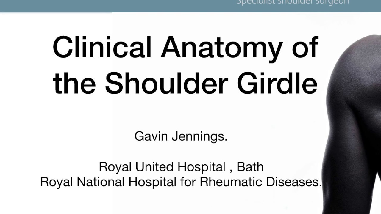 Clinical Anatomy of the Shoulder Girdle Part 1