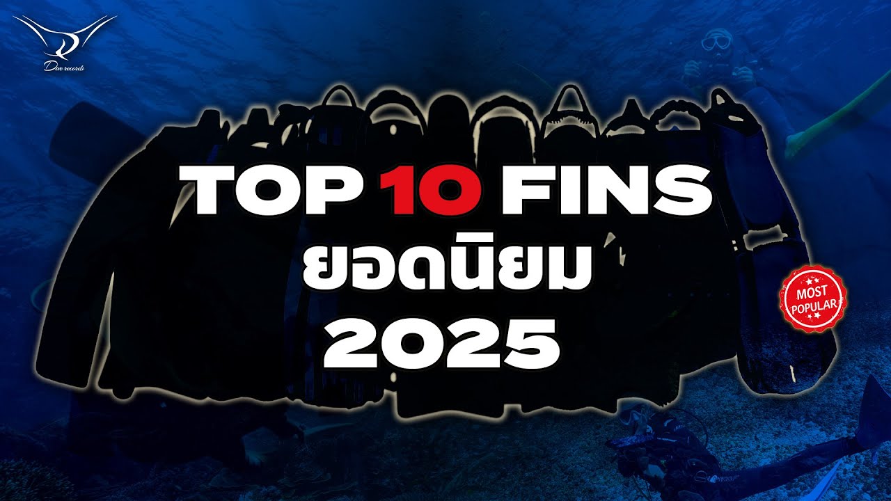TOP 10 FINS 2025 | จัดอันดับฟินส์ดำน้ำยอดนิยมที่คนใช้เยอะที่สุด?