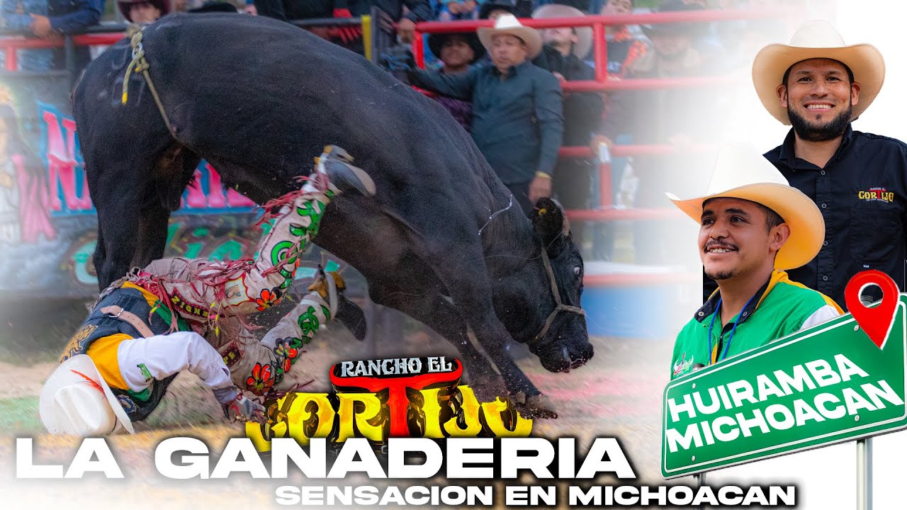 &iexcl;VIBORA DE HIGALDO QUEDA PRIVADO DESPUES DE MONTAR ESTE TORO! EN HUIRAMBA, MICH.