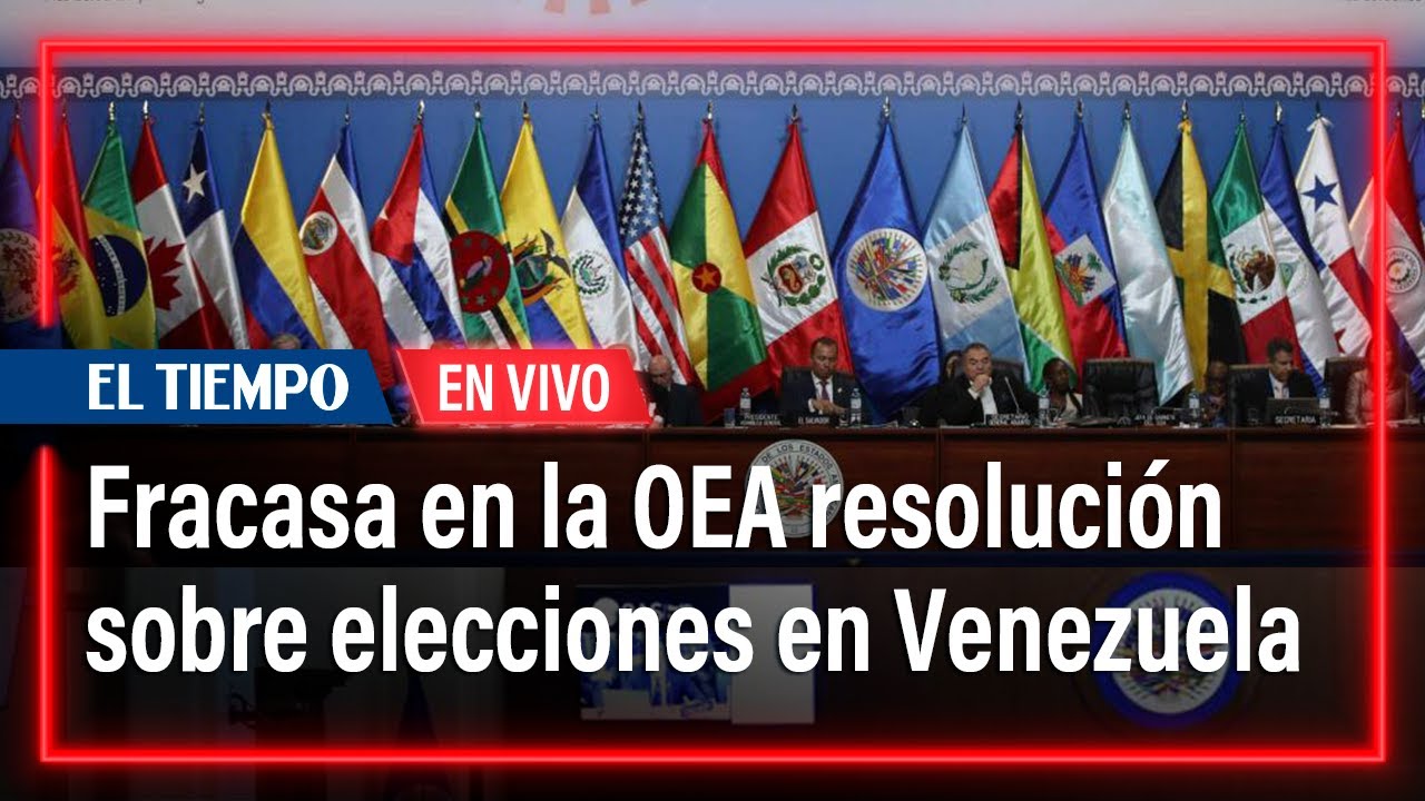 Fracasa en el Consejo de OEA una resolución que exigía a Venezuela revelar las actas de votación