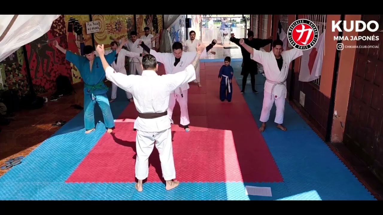 KUDO | MMA Japonés | 2° Ensayo de Examen 2025