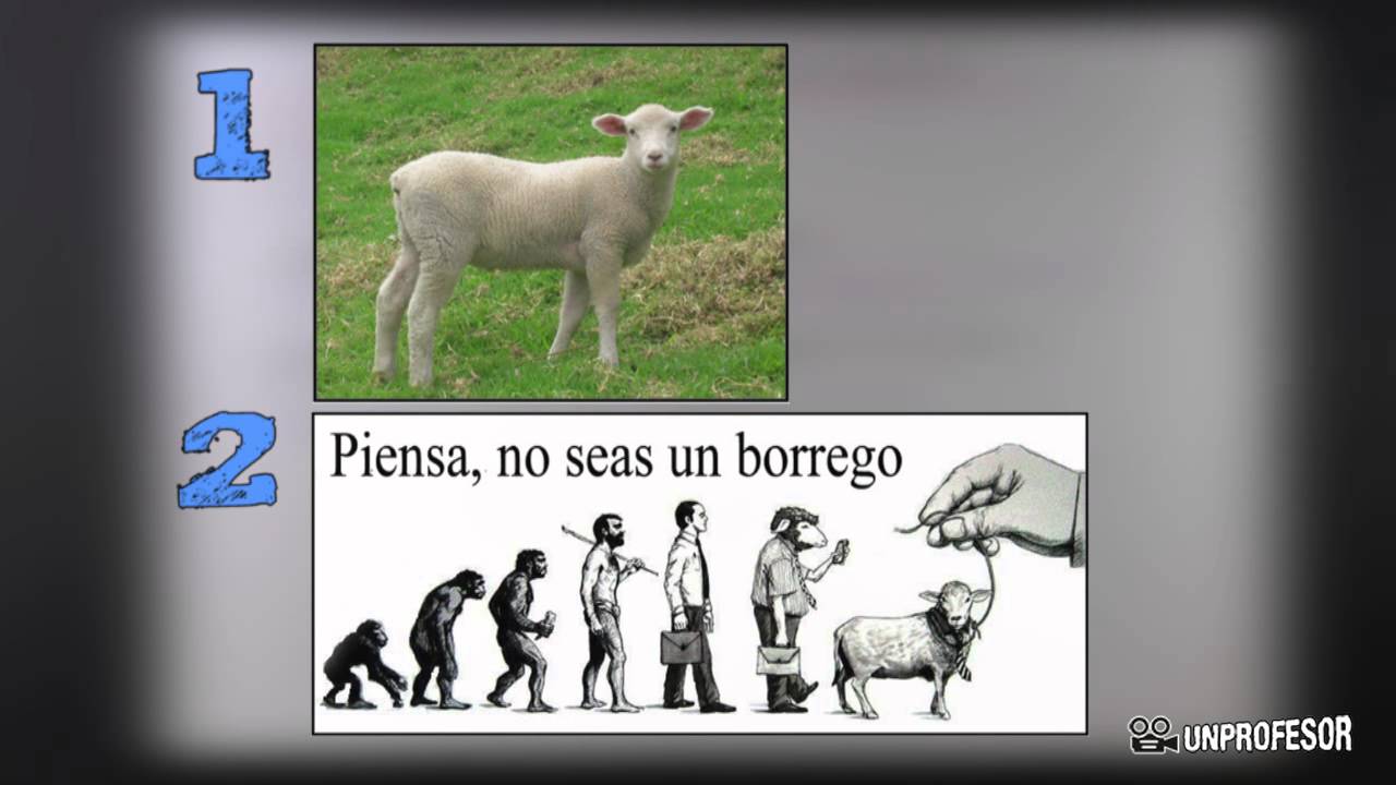 Diferencia entre denotación y connotación