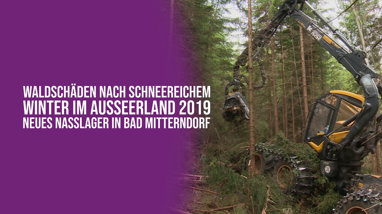 Waldschäden nach schneereichem Winter im Ausseerland 2019 - Neues Nasslager in Bad Mitterndorf