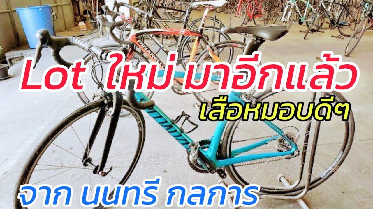 Lot ใหม่ มาลงแล้ว เสือหมอบ ดีๆ แบรนด์ดังๆ จากต่างประเทศ นนทรี กลการ