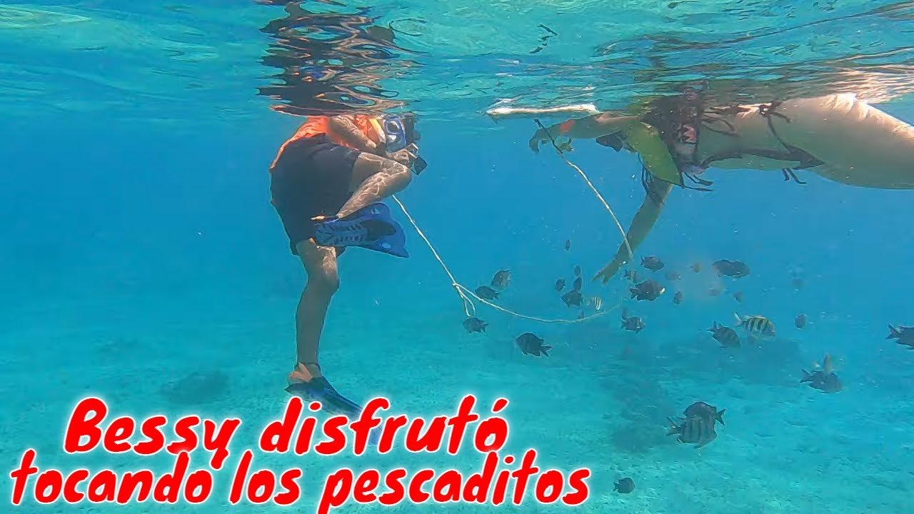 Bessy disfrutó la cercania de muchos peces. La Hueva se ve agitada.