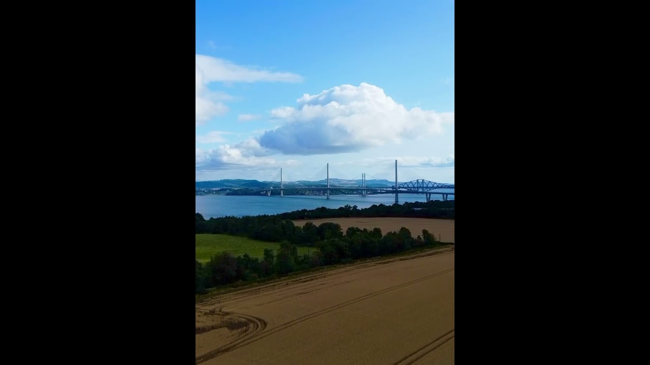 Rye grain farm