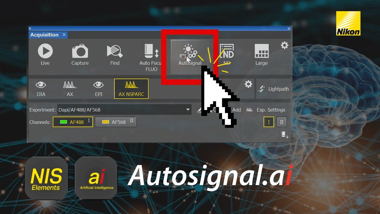 Autosignal ai Tutorial: Optimize Confocal Imaging Settings in One Click | NIS-Elements NIS ai