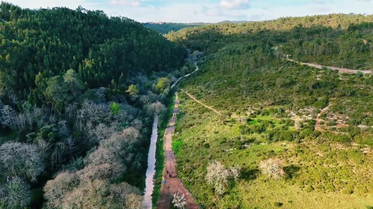 Soft Ambient Frequencies with Nature Views | Inner Peace & Deep Calm