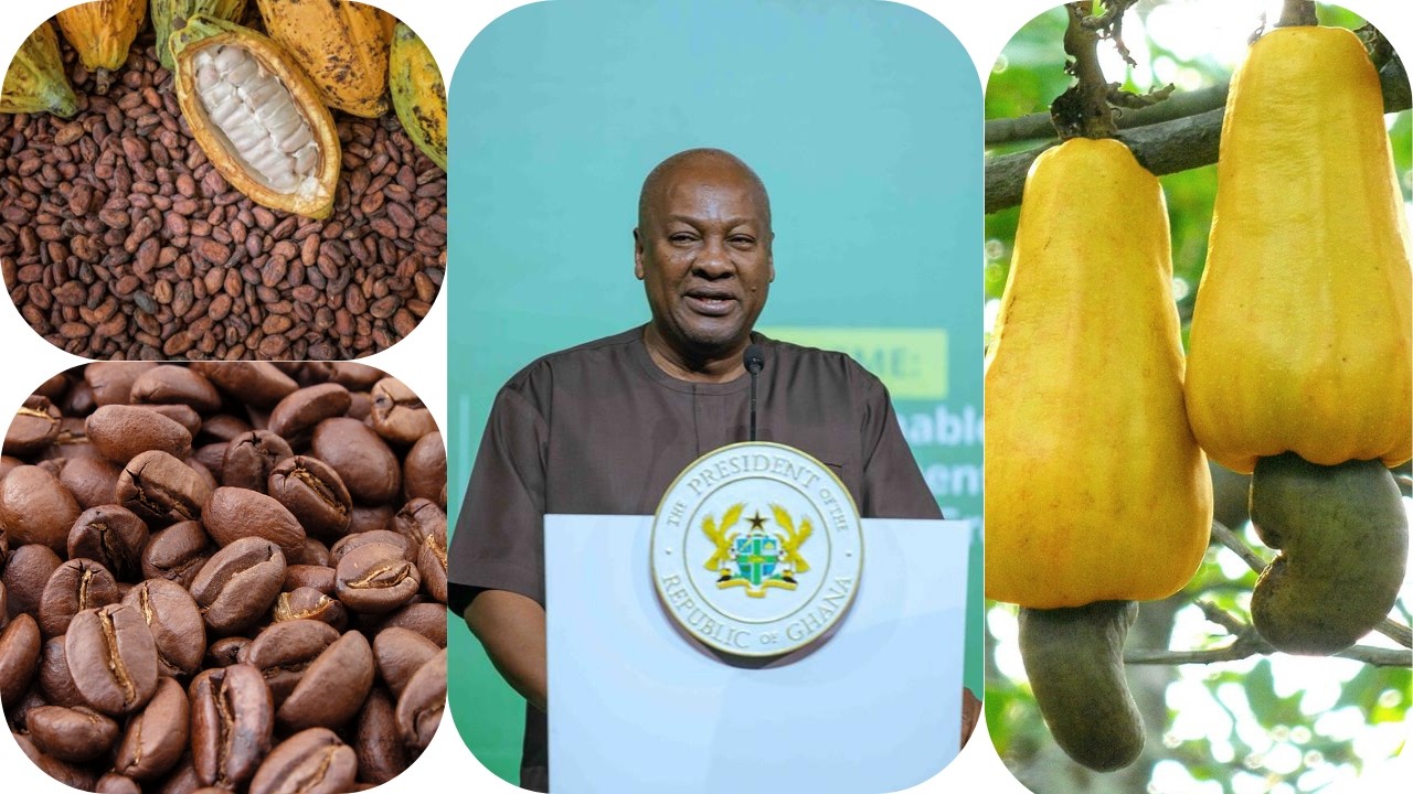 Ghana to Boost Local processing of tree crops