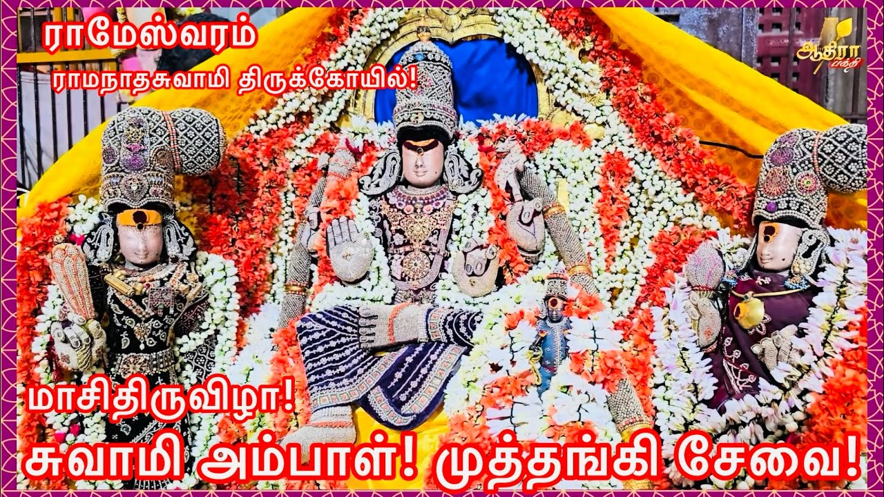 ராமேஸ்வரம் ராமநாதசுவாமி திருக்கோயில்! மாசிதிருவிழா! சுவாமி அம்பாள்! முத்தங்கி சேவை!